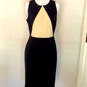 Black & Cream Work/Cocktail Dress